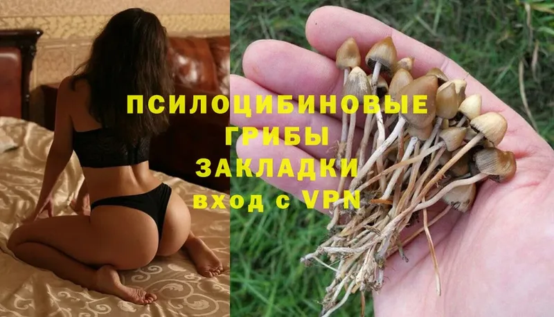 ОМГ ОМГ   Камешково  Галлюциногенные грибы MAGIC MUSHROOMS 